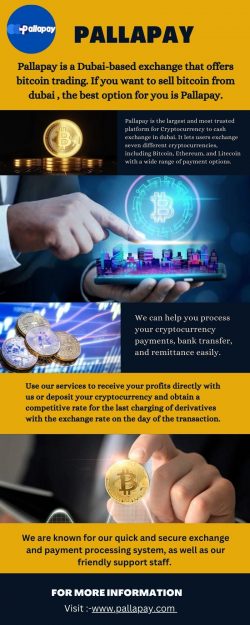 Contact Pallapay for Cryptocurrency to Cash Exchange in Dubai