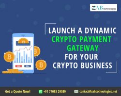 Cryptocurrency payment gateway software