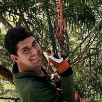 The best Maui tree removal company | Island Tree Style