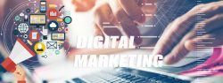Digital Marketing Services In Chandigarh