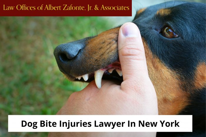 Dog Bite Injuries Lawyer In New York