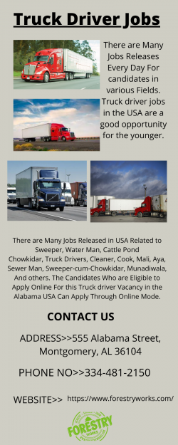 Easily Find Truck Driver Jobs Salary