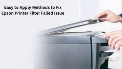 Easy To Apply Methods To Fix Epson Printer Filter Failed Issue