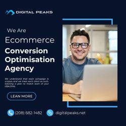 Shopify Conversion Rate Optimization | Digital Peaks