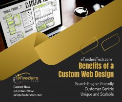 Web Design Company in Jaipur devoted to delivering the best website design solutions
