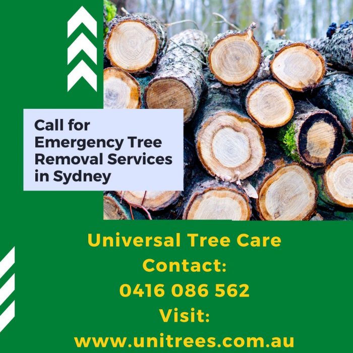 Emergency Tree Removal Service in Sydney