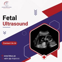 Level 3 Fetal Ultrasound Near Me | Mothers and Fetuses Group