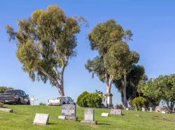 Funeral Homes In San Diego CA