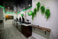 The Green Closet | One of the Top Weed Shops in Toronto