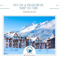 Go On a Beautiful Trip to the Swiss Alps