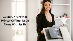 Guide on ‘Brother Printer Offline’ Issue Along with its Fix