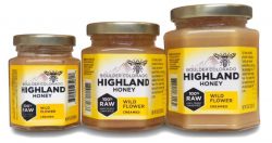 Highland Honey Queen Bees On Sale Now