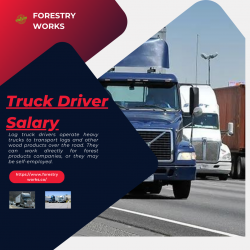 Highest Top In Truck Driver Jobs Salary