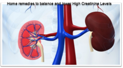 Home remedies to balance and lower High Creatinine Levels