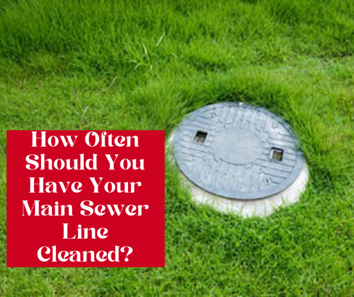 How Often Should You Have Your Main Sewer Line Cleaned?