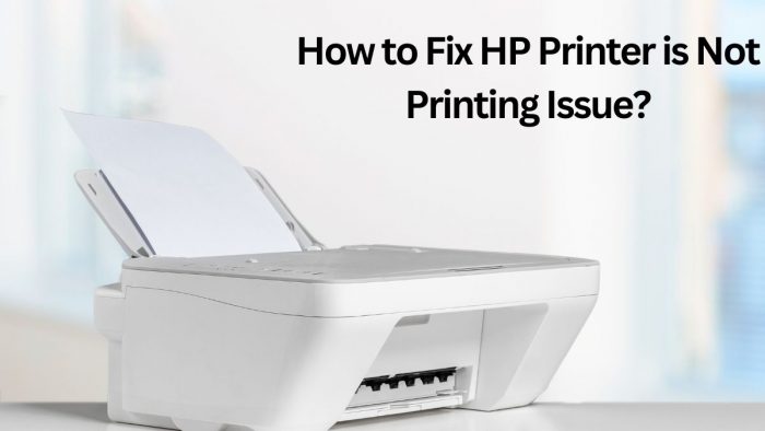 How to Fix HP Printer is Not Printing Issue?
