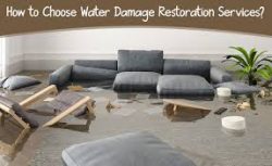 Why Are Professional Water Damage Restoration Services Important? Here Are Some Reasons!