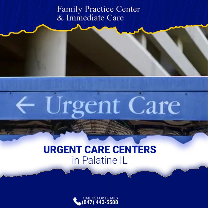 Urgent Care In Palatine