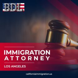 Find best Immigration attorney los angeles at Brian D Lerner