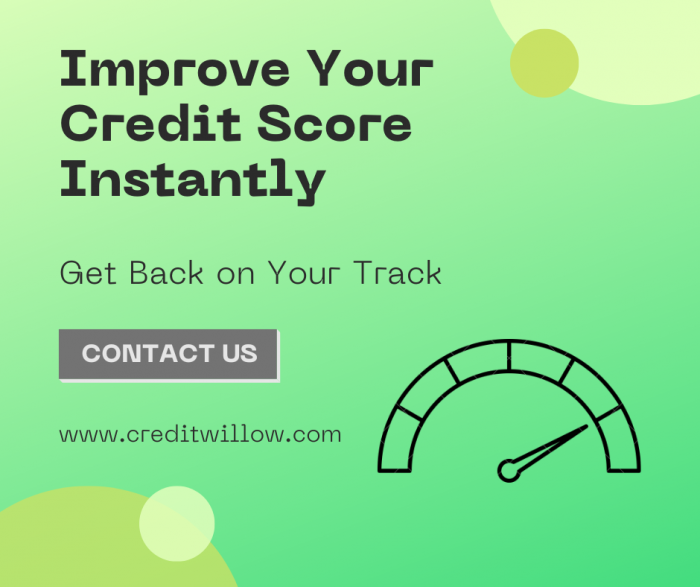 Improve Your Credit Score Instantly With Debtless Credit