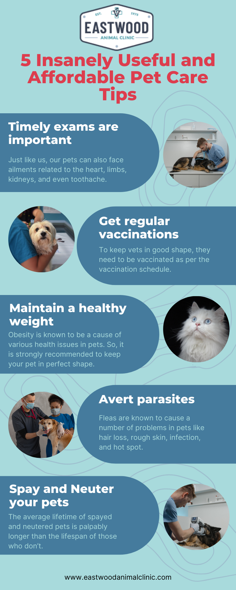5 Insanely Useful and Affordable Pet Care Tips