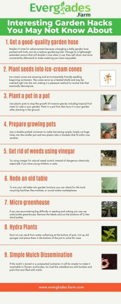 Interesting Garden Hacks You May Not Know About