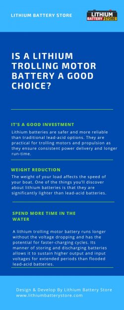 Is a Lithium Trolling Motor Battery a Good Choice?