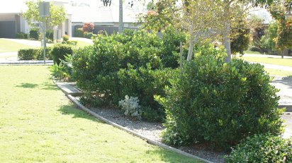 Lawn Mowing Cairnlea
