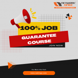 Start Your Career with a 100% Job Guarantee Course!