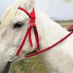Zaumzeug für Pferde online kaufen
