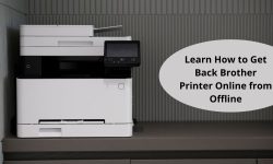 Learn How to Get Back Brother Printer Online from Offline