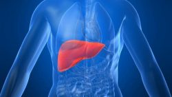 3 Common Causes of Liver Disease that You Should Know