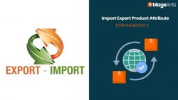 Magento 2 Import Export Product Attributes
