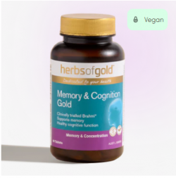 Get the Best Herbal Supplements for Memory and Concentration
