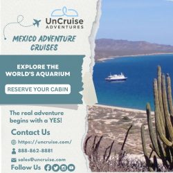 Mexico Adventure Cruises: A Great Option for Relaxing Travel