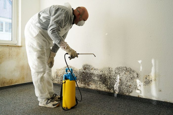 Choose Mold Removal To Clean Mold Completely