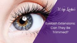 Eyelash Extensions: Can They Be Trimmed? – Wisp Lash Lounge