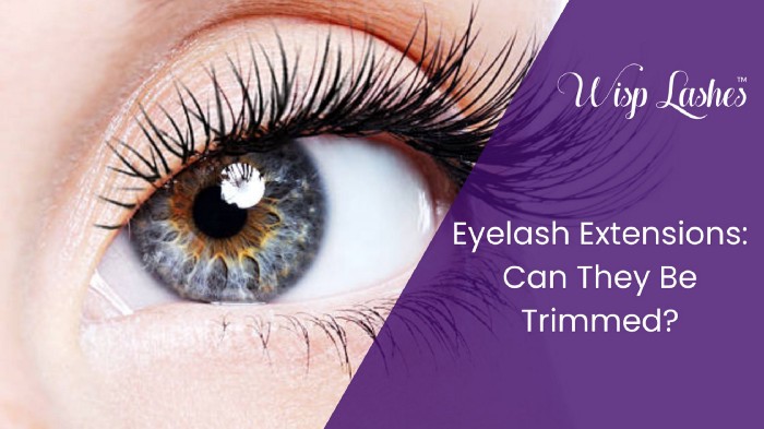 Eyelash Extensions: Can They Be Trimmed? - Wisp Lash Lounge - Social ...