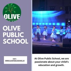 Olive Public School – Active Learning Environment