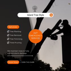 Looking For Tree Trimming Service at an Affordable price?