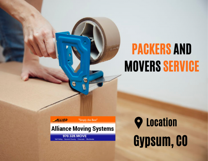 Professional Packers and Movers Facility