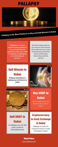Pallapay is Well Known for Sell USDT in Dubai