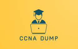 CCNA Exam Dumps Information Technology