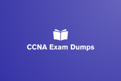 CCNA Exam Dumps exercise questions are precise
