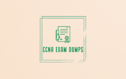 These CCNA DUMPS exam questions and answers
