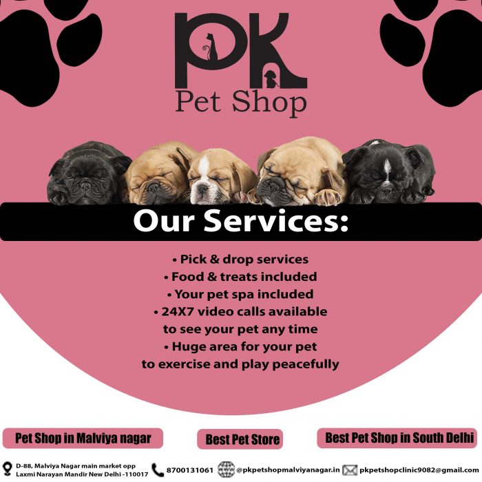 Pet Shop in Malviya Nagar | Best Pet Shop in Delhi | Pet Shop near me