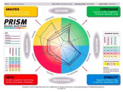 Prism Brain Mapping – EnHansen Performance