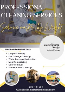 Mold Remediation Services in Fort Myers FL – ServiceMaster by wright