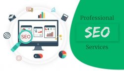 Professional SEO Services in India
