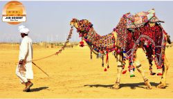 Luxurious stay in Jaisalmer with JCR’s desolate tract Camp